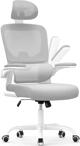 Chaise de Bureau Ergonomique:Fauteuil Bureau avec Support Lombaire enC,Gray