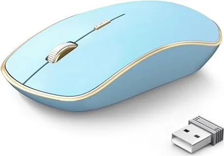 JOYACCESS Souris sans fil pour ordinateur portable | 5 niveaux de DPI silencieuse pour Notebook, MacBook, Chromebook, PC – Bleu