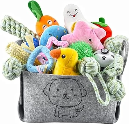 Ousiya Lot de 24 Jouets pour Chiots, Jouets de Dentition pour Chiots avec boîte de Rangement, à mâcher pour Chiens et couinants pour Chiens de Petite et Moyenne Taille