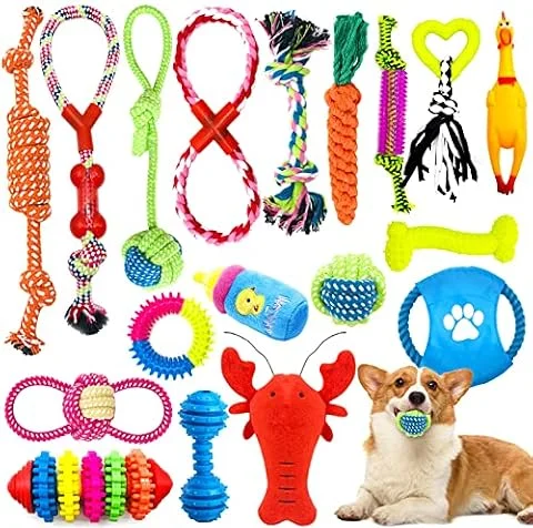 JOYBOY Jouets pour Chien - 18 Pièces Corde Durable Indestructible à Mâcher pour Petit et Moyen Chien